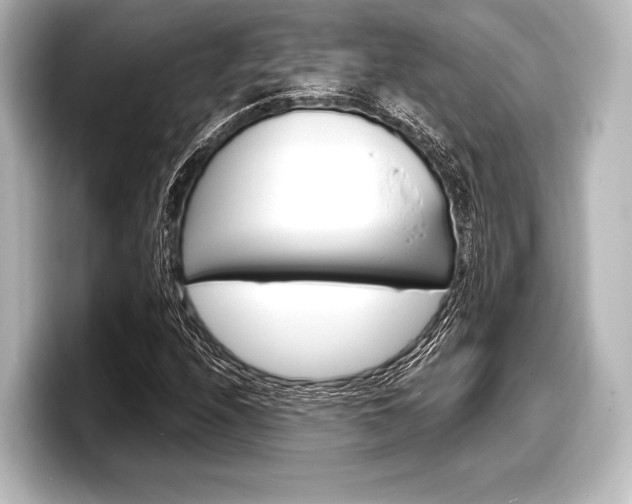 X0000098171208200804241002