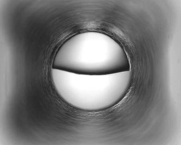 X0000098171209200804241002