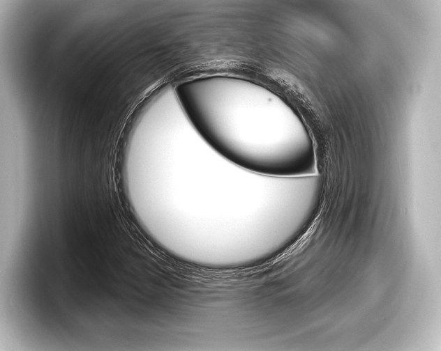 X0000098171210200804241002