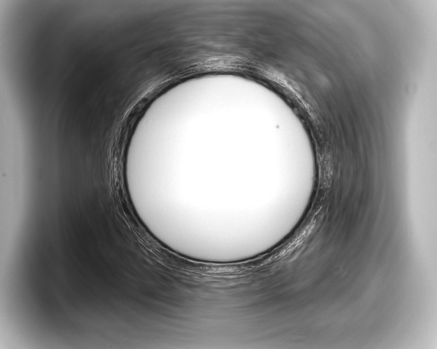 X0000098171211200804241002