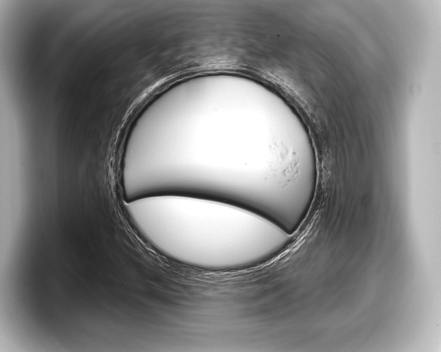 X0000098171212200804241002