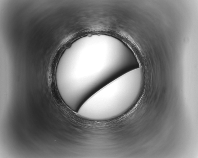 X0000098171213200804241002