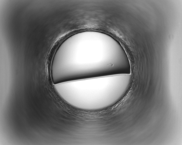 X0000098171214200804241002