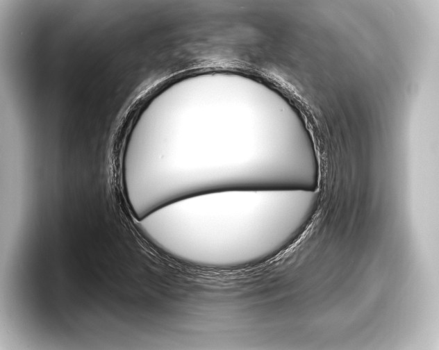 X0000098171215200804241002