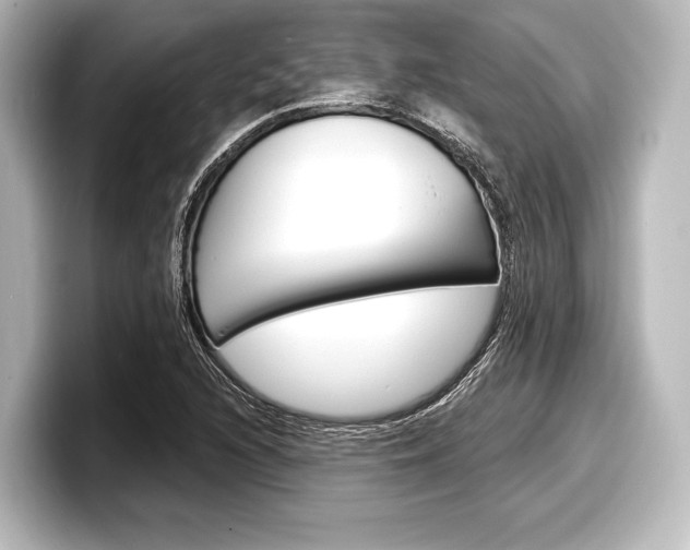X0000098171216200804241002