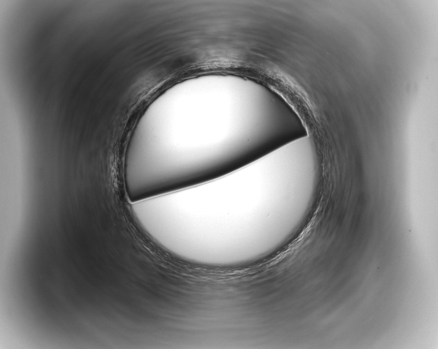 X0000098171217200804241002