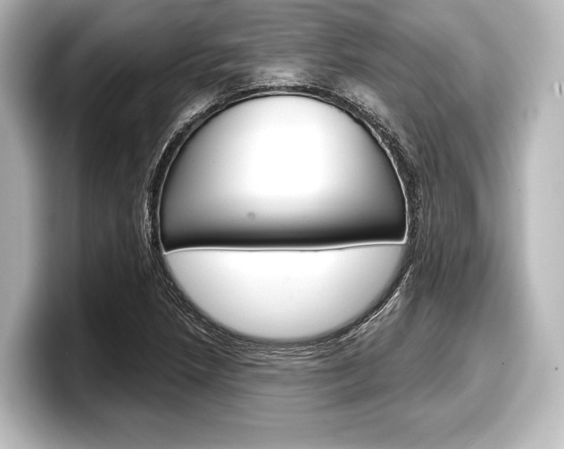 X0000098171218200804241002