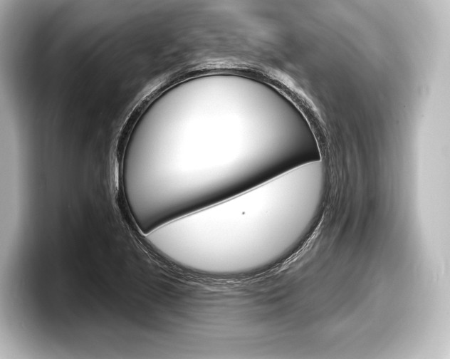 X0000098171221200804241002
