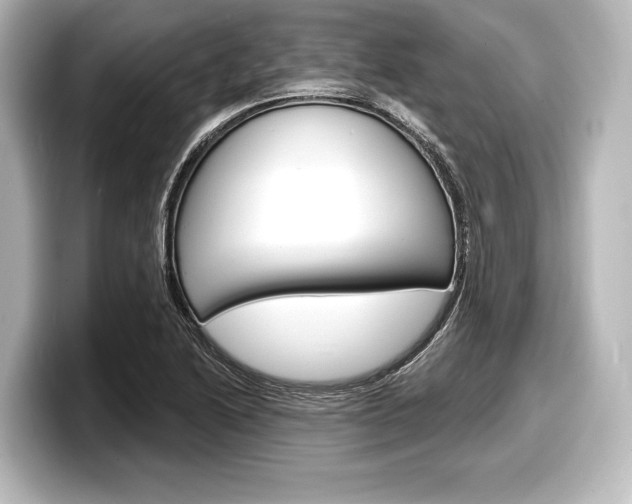 X0000098171222200804241002
