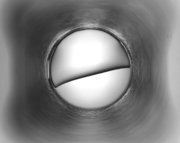 X0000098171223200804241002