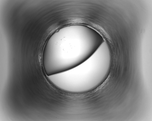 X0000098171225200804241002