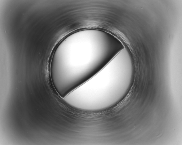 X0000098171226200804241002