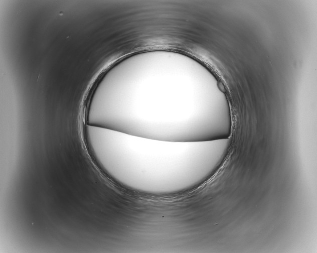 X0000098171227200804241002