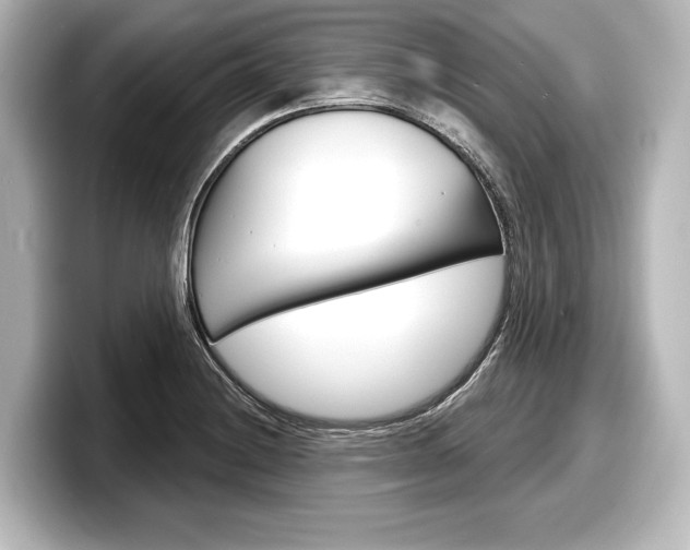 X0000098171228200804241002