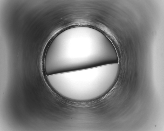 X0000098171229200804241002