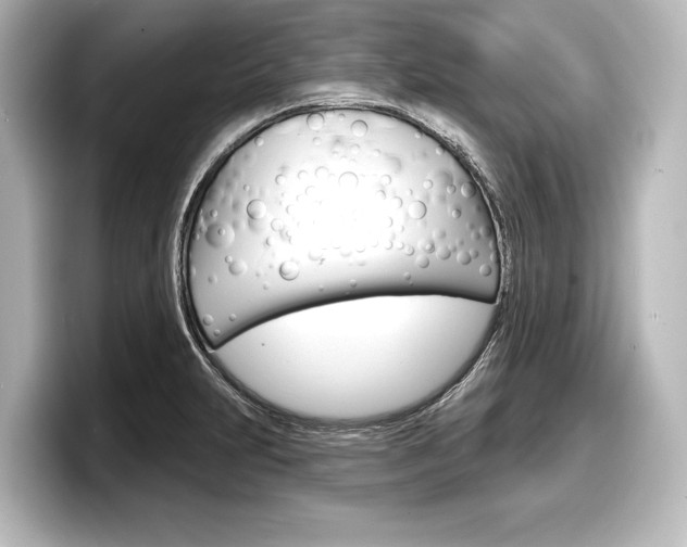 X0000098171231200804241002
