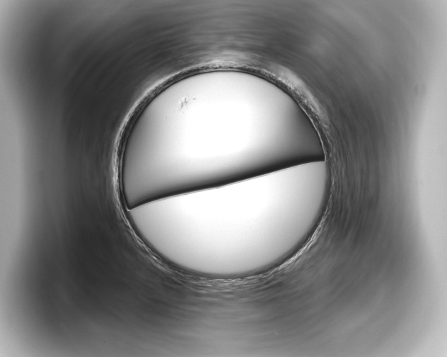 X0000098171232200804241002