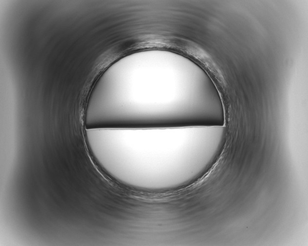 X0000098171233200804241002