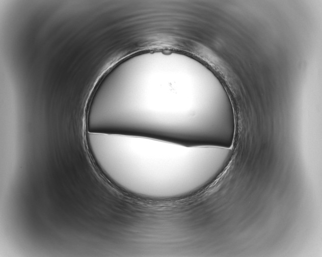 X0000098171234200804241002