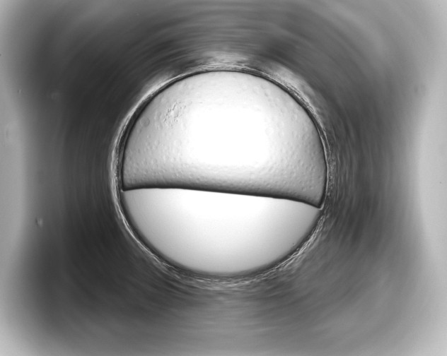 X0000098171235200804241002