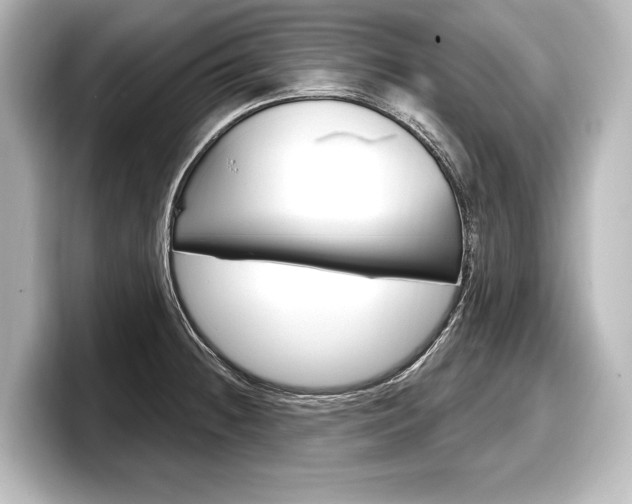 X0000098171236200804241002