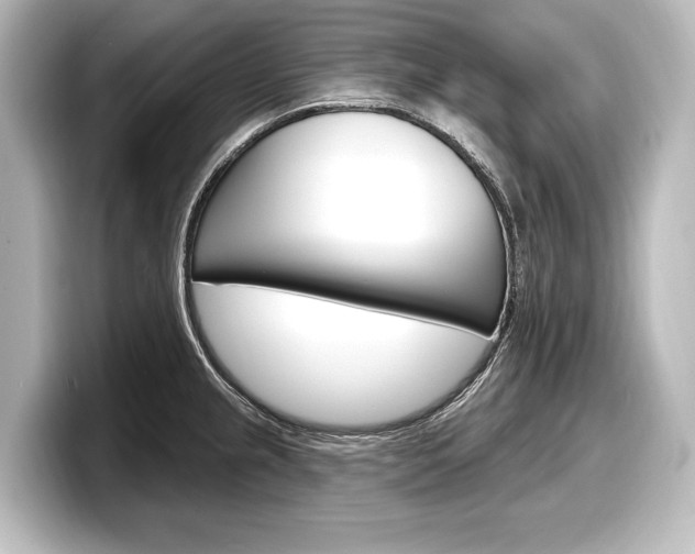 X0000098171237200804241002