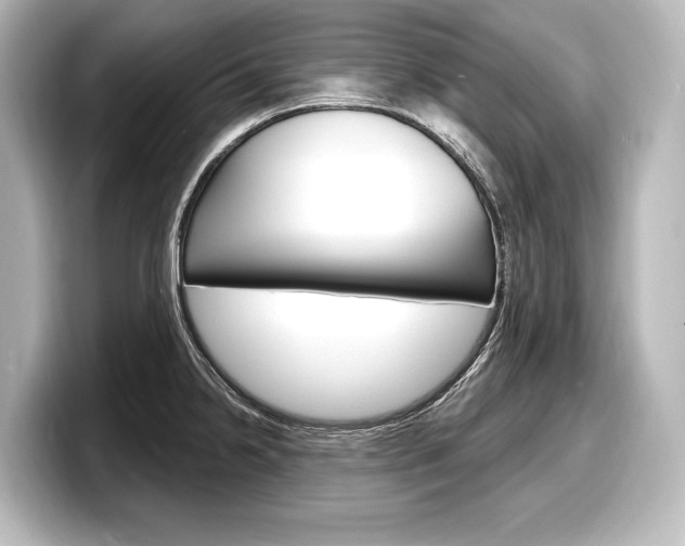 X0000098171238200804241002