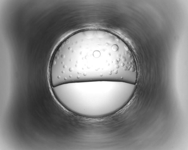 X0000098171239200804241002