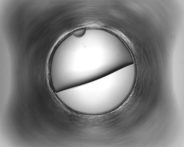 X0000098171240200804241002