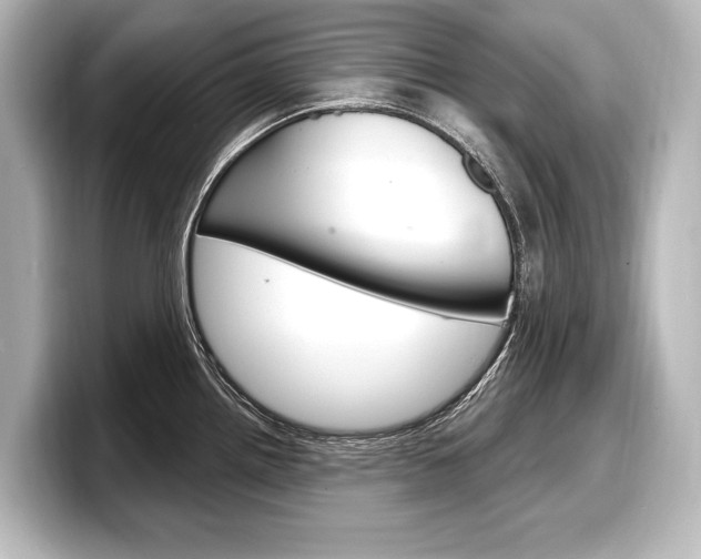X0000098171242200804241003