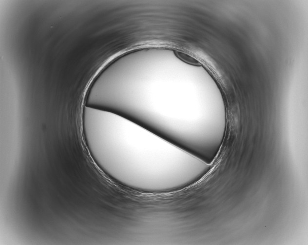 X0000098171244200804241003