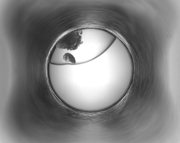 X0000098171246200804241003