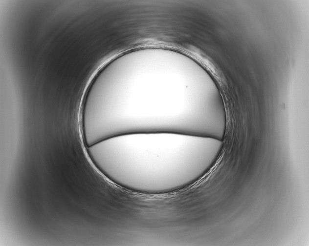 X0000098171247200804241003