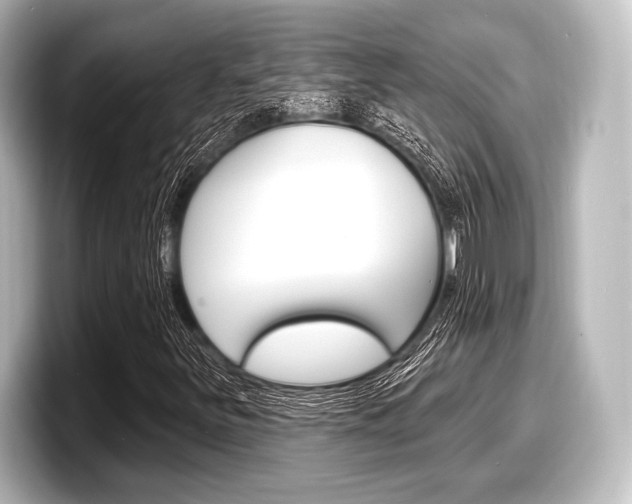 X0000098171251200804241002