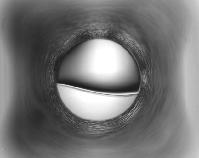 X0000098171252200804241002