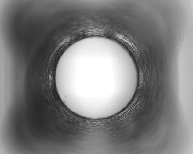 X0000098171254200804241002