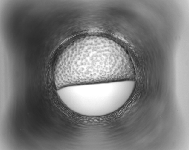 X0000098171255200804241002