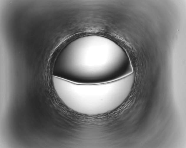 X0000098171256200804241002