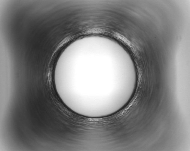 X0000098171258200804241002