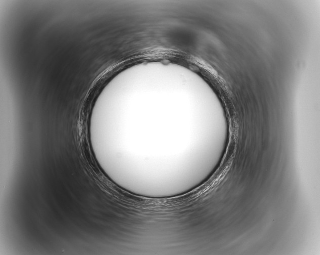 X0000098171259200804241002