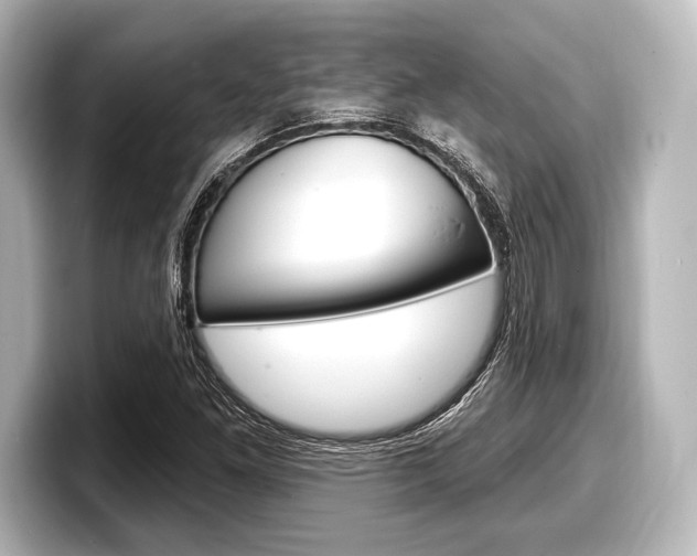 X0000098171261200804241002