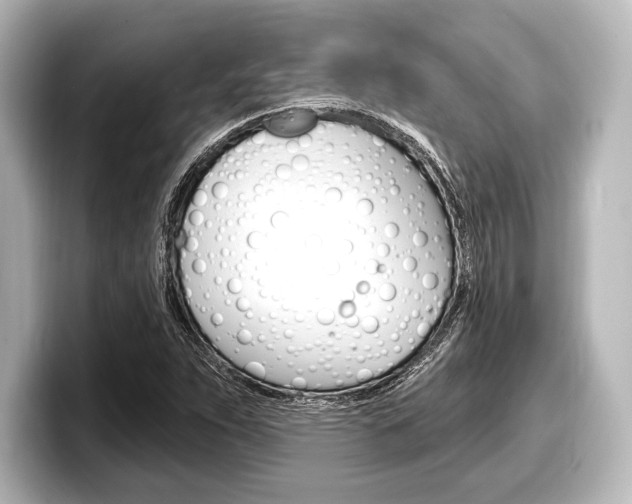 X0000098171263200804241002
