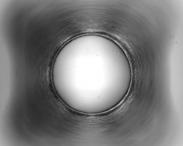 X0000098171265200804241002