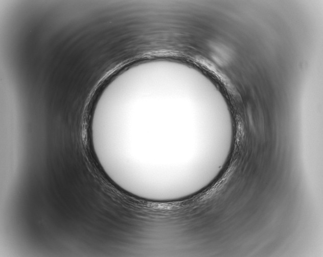 X0000098171266200804241002