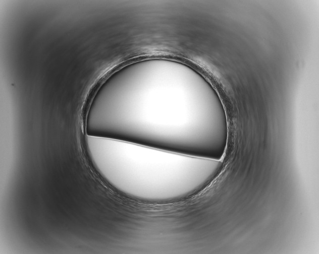 X0000098171269200804241002