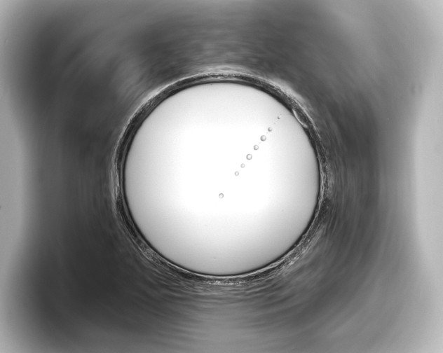 X0000098171271200804241002