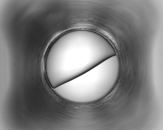 X0000098171275200804241002