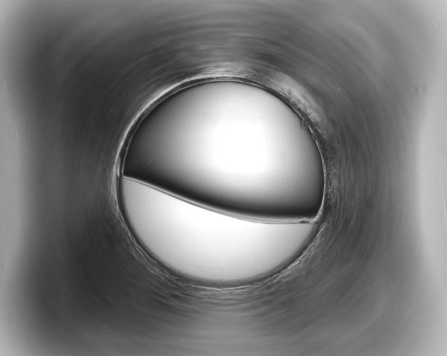 X0000098171276200804241002