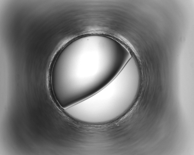 X0000098171277200804241002