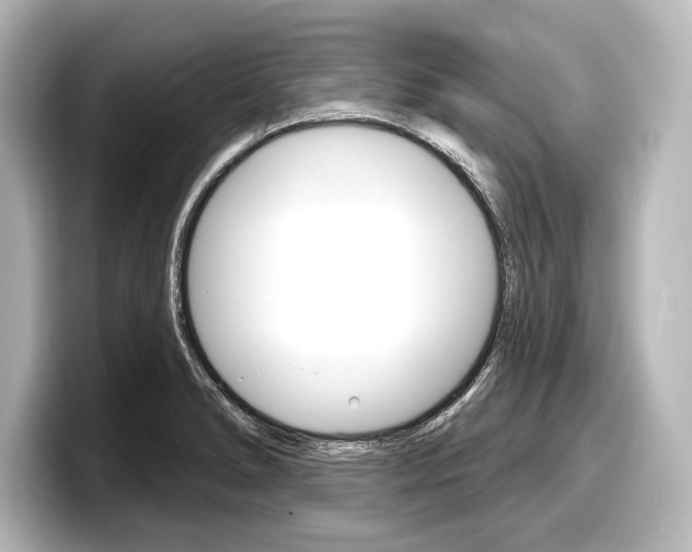 X0000098171278200804241002